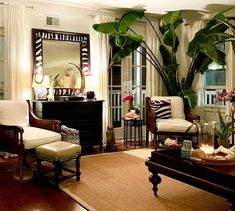 a living room filled with furniture and a large plant