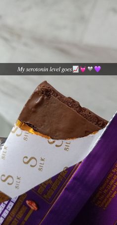 a piece of chocolate cake sitting on top of a purple box with the words my sereton level goes