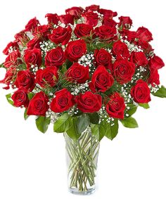 a vase filled with red roses and baby's breath