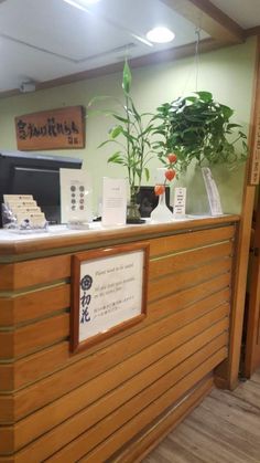 the front desk of an office with a plant on it's display shelf and other items