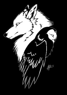 two white wolfs with black background and one has an eagle on it's back