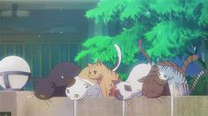 a group of cats sitting on top of a wooden fence next to a green tree