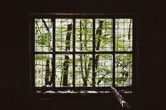 an open window in a dark room with green leaves on the outside and trees through it