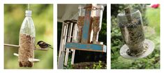 three different pictures with birds and bird feeders hanging from the same pole, one is filled with seed