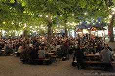 a large group of people sitting at picnic tables under trees with lights strung over them