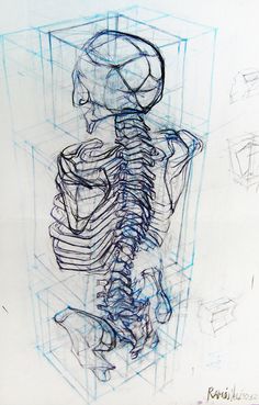 a drawing of a skeleton sitting in front of a box with its back turned to the camera