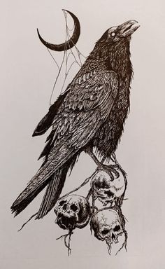 a drawing of a bird sitting on top of a branch with skulls in front of it