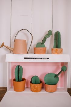 some cactus plants are on a shelf in a room with white walls and pink shelves