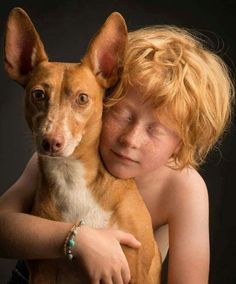 Ibizan Hound, Best Dog Breeds, Dog Portraits, Dog Days, Animal Photography, Dog Friends