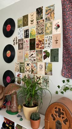 there are many records on the wall and plants in vases next to them,