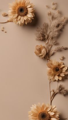 three sunflowers and some dry grass on a beige background