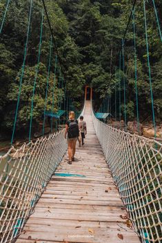 two people walking across a suspension bridge in the woods