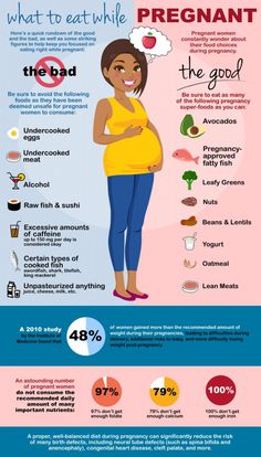 the pregnant woman's diet info sheet