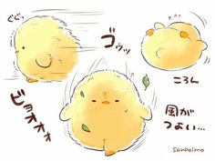 three little yellow chicks with different expressions on their faces