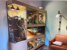 a living room area with a couch, lamp and glass cabinet filled with different types of animals