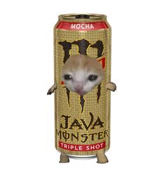 sad cat in a can, monster, java mocha