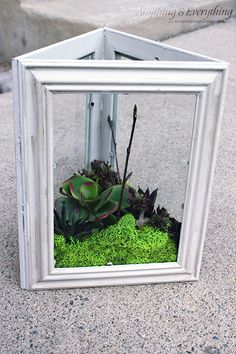 a white frame with some plants in it and moss growing out of the bottom half