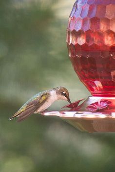 a hummingbird drinking from a bird feeder with a red ball on it's side