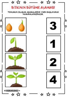 an activity sheet for children to learn numbers and plants