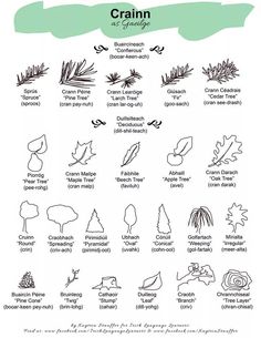 the different types of plants and their names are shown in this handwritten diagram, which includes