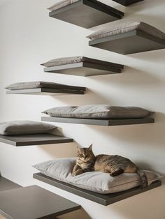 a cat laying on top of a pillow in front of some shelves