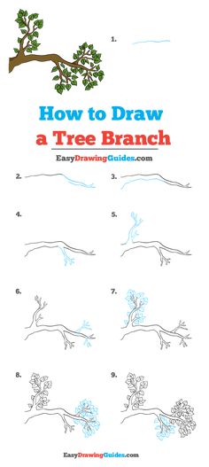 how to draw a tree branch