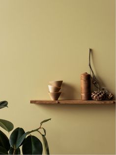 two wooden bowls on a shelf next to a potted plant and pine cone in front of a yellow wall