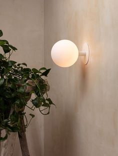 a white wall light next to a potted plant