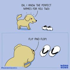 a cartoon dog is looking at two pairs of flip flops