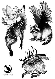 four different types of animals with wings on their back and the other one in black and white