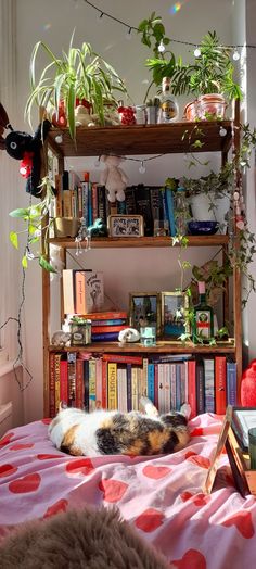 Sunny bedroom shelves plants Cozy Cottage Bedroom, Home Decor Storage, Wood Bookshelf, Chemical Substances, Decor Storage, Pinterest Room Decor, Cozy Room Decor, Pretty Room, Dreamy Room