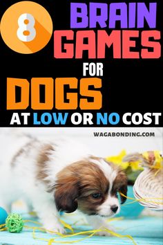 a puppy is playing with some toys on the floor and text reads 8 brain games for dogs at low or no cost