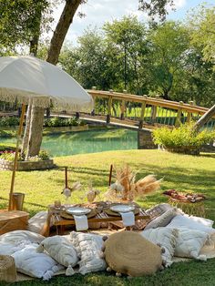 a picnic table with an umbrella and pillows on the grass in front of a pond