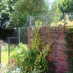 a brick wall with vines growing on it next to a chain link fence and trees