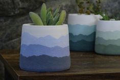 three pots with plants in them sitting on a table