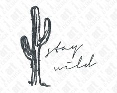 a drawing of a cactus with the words stay wild written in black ink on a white background