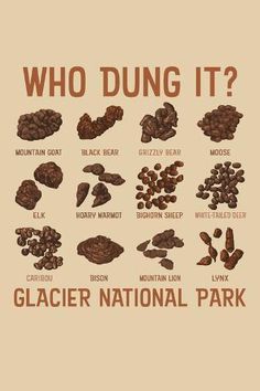 a poster with the words who dungg it? written in different languages and nuts