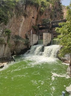 the water is green and flowing into the river