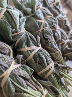 dried sages are piled on top of each other with twine ribbons around them