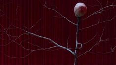 a bare tree with no leaves on it in front of a red curtained background