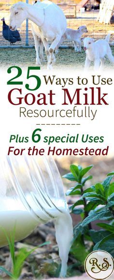 milk being poured into a glass with the words 25 ways to use goat milk successfully plus 6 special uses for the homestead