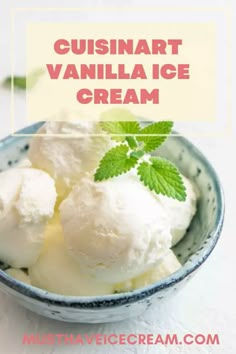 two scoops of vanilla ice cream in a blue bowl with green leaves on top