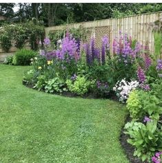 a garden filled with lots of purple flowers next to a wooden fence and green grass