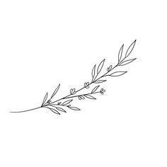 a black and white drawing of an olive branch