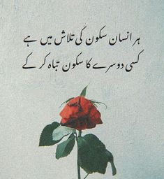 a red rose sitting on top of a white table next to a poem written in arabic