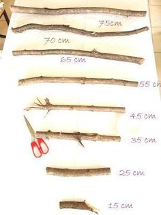 several types of branches and scissors are shown on a sheet of paper with measurements for each branch