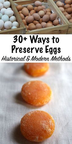 eggs in trays with text overlay reading 30 ways to preserve eggs historical and modern method