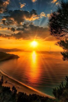 the sun is setting over the ocean with sailboats in the water and trees on the shore