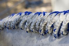 several braided ropes on the back of a white and blue horse's head