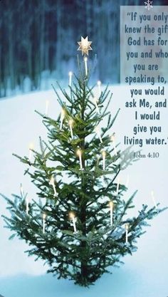 a small christmas tree with lit candles in the shape of a star and an old bible verse